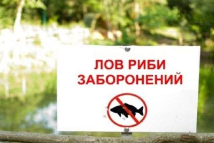 На Одещині, у зв’язку із скатом молоді осетрових, встановлено заборону на промисловий вилов риби